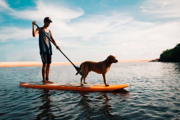 Boy paddleboarding with his dog